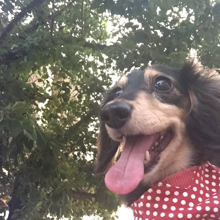 32f4c95d f171 437b 996a ae1ee7c951b8 1533983948854