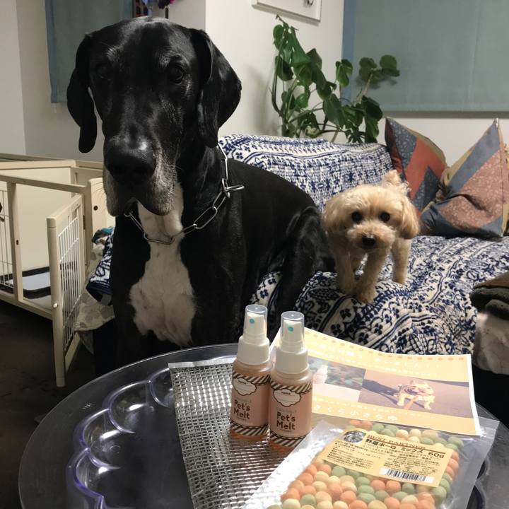 32f5182a 890d 47ab 9d51 8e67ce33e38e 1524048653327