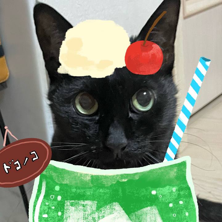 32f55efc 3d36 44bf 992c 74b3a78bdbd2 1755059237439