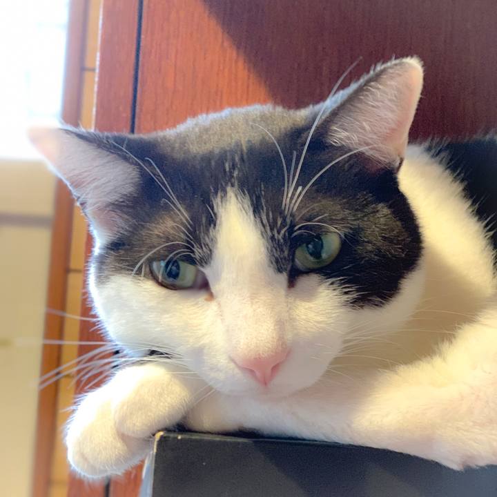 32f5c6fd 045e 4dad b2fb ae602b164207 1558402767930