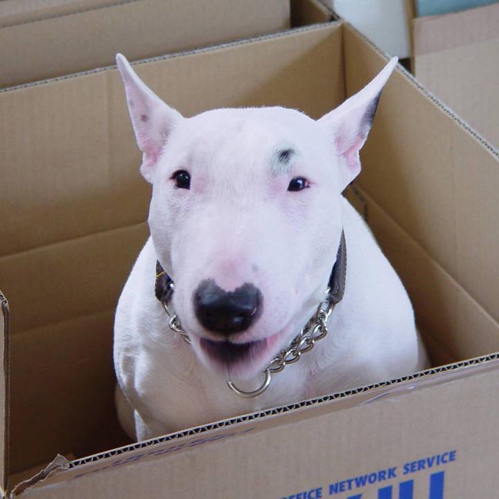 32f5d204 9764 4f2c b2b2 b0bf40ce1e89 1623308601583