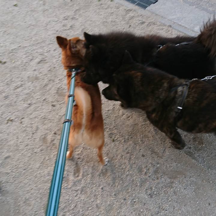 32f5dc1f bab9 41f5 a8cb 112d4d5ce61c 1524391268210