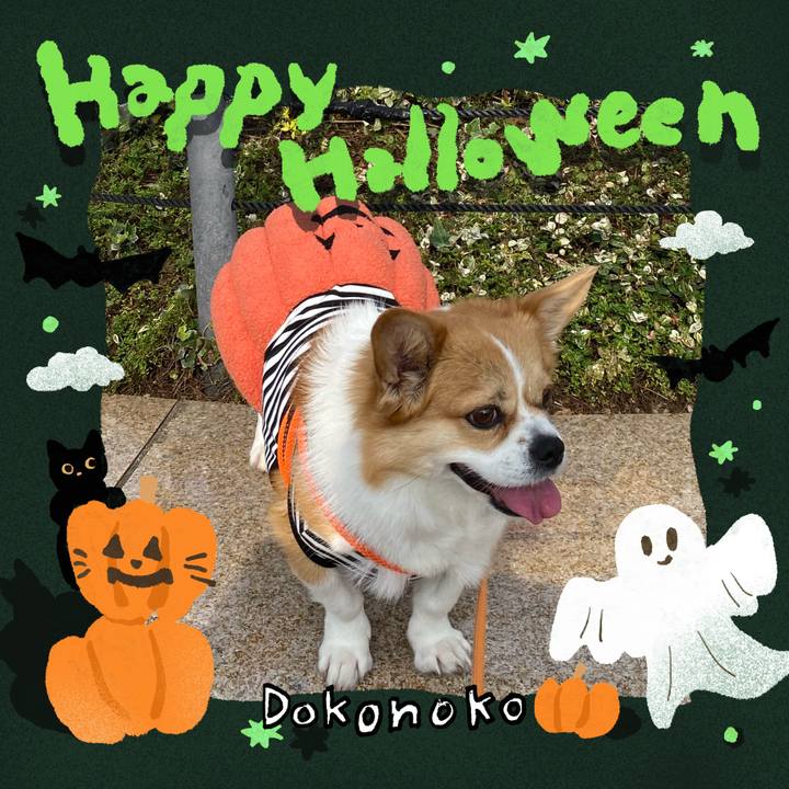 32f60ab9 fa57 4eb0 b6b6 d8acf25af826 1730080989854