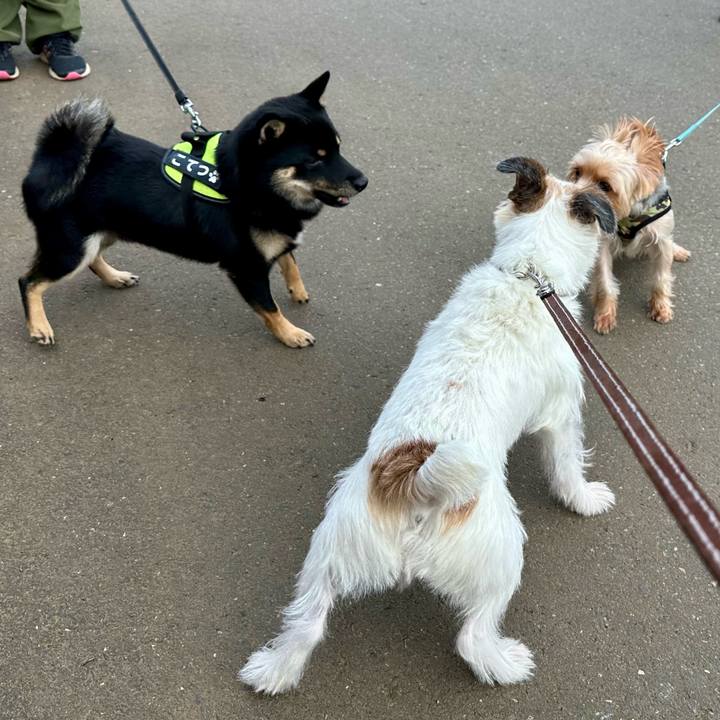 32f61188 6aa6 45af 9a17 313cf0370661 1759583100072