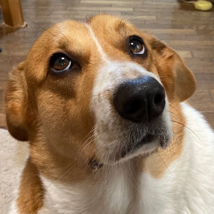 32f626dd fd11 434e 9f44 5cdedf16c7dc 1665453920894