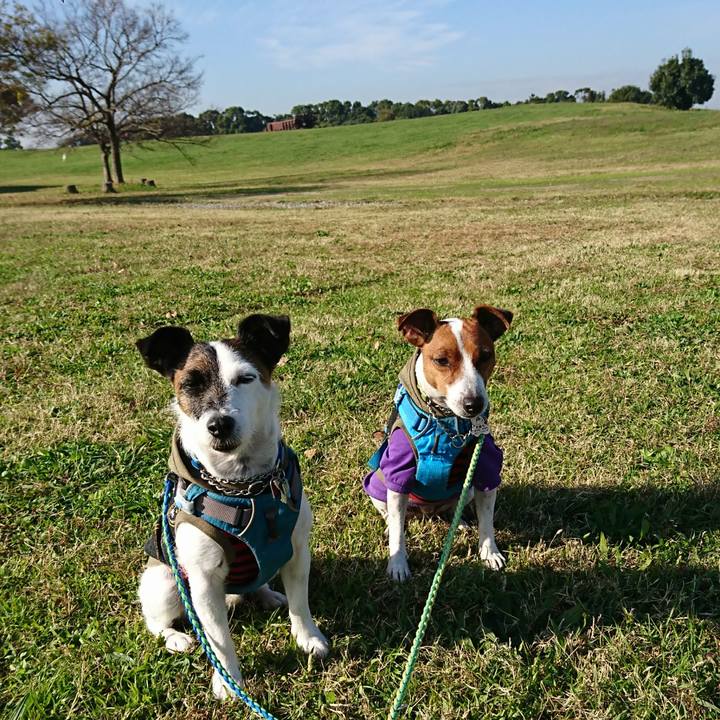 32f63996 0247 4878 a5ec 1345943c3597 1606352647033