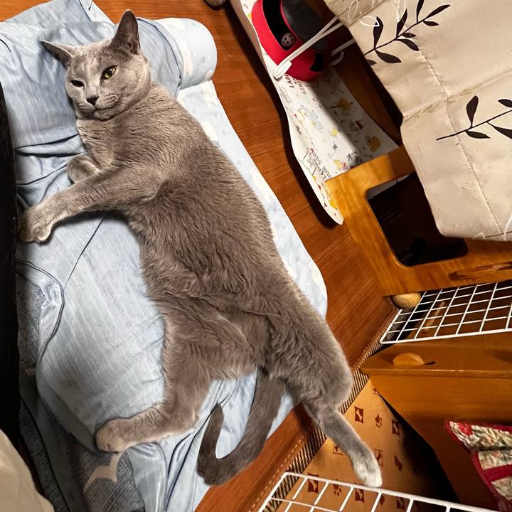 32f639a0 cf22 4c68 a656 e6d355298530 1696673587629