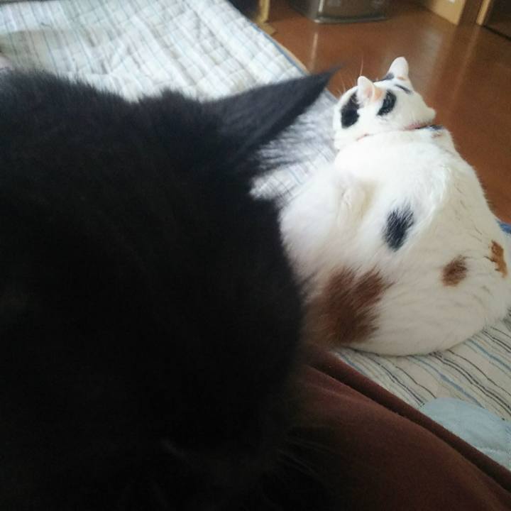 32f662bf 8e5b 4d3b a144 8fae0bc7603c 1537849991880