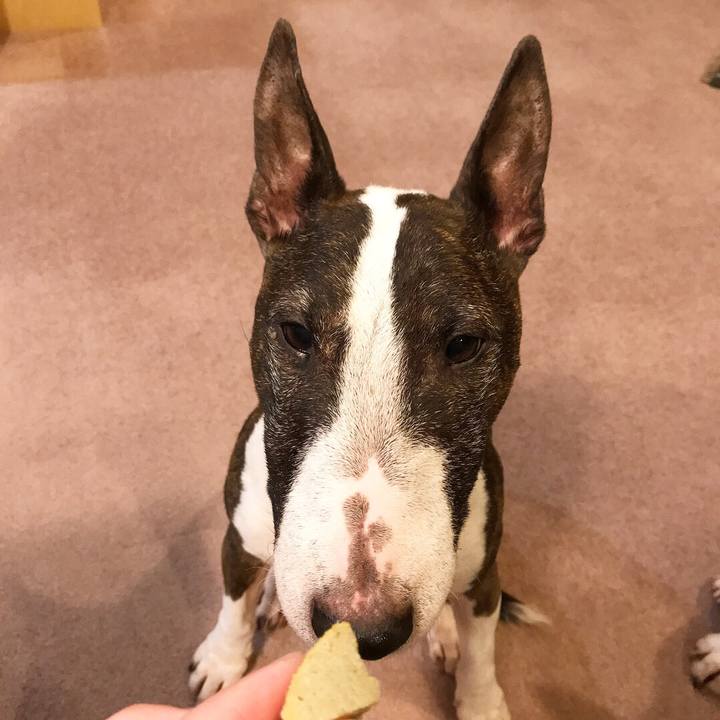 32f66ea3 9427 4c43 8625 e559382c9ce0 1518175788372