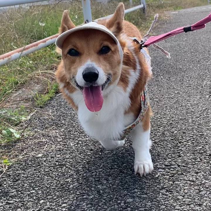 32f66f80 01a6 4f0c 91e9 55b8cf50c910 1668225296673