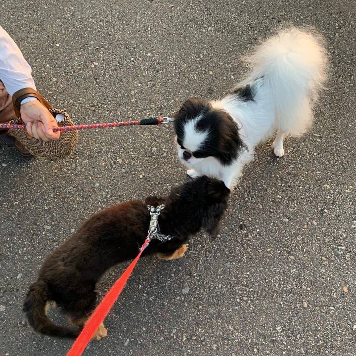 32f6a94a ff3c 45e7 ad80 c15c1d882251 1628113312480