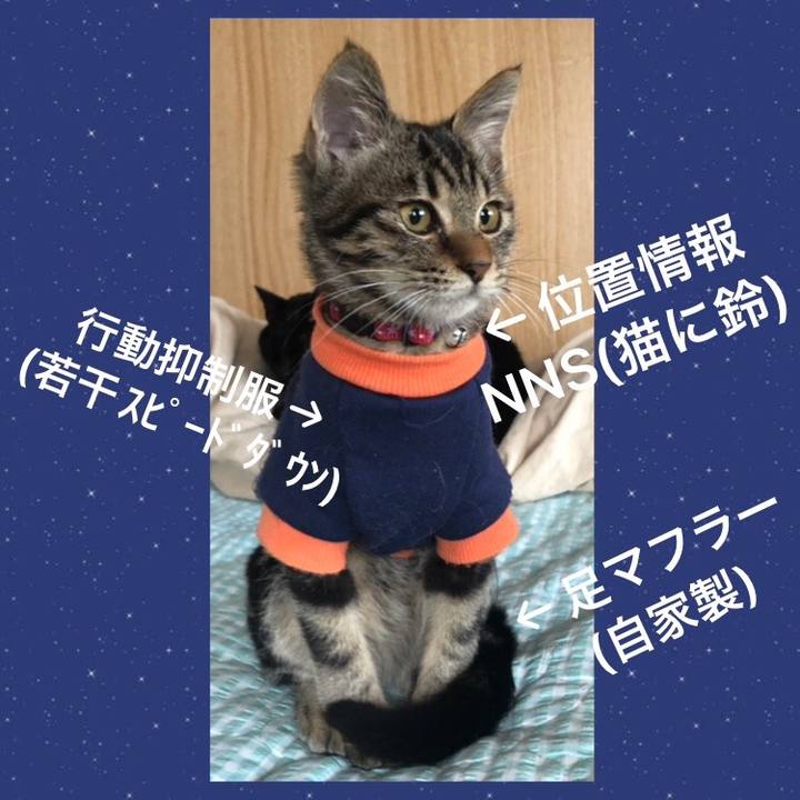 32f6b038 b0cf 42c7 8add 504e904605d3 1731108048069