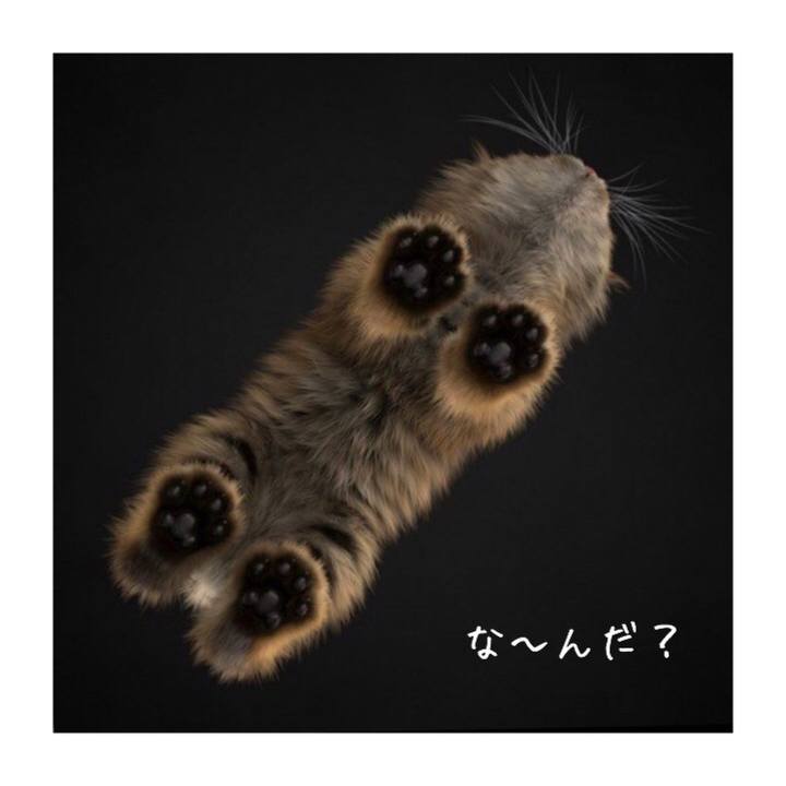 32f6c1f5 a259 411f 86d8 b88814353898 1560838516587