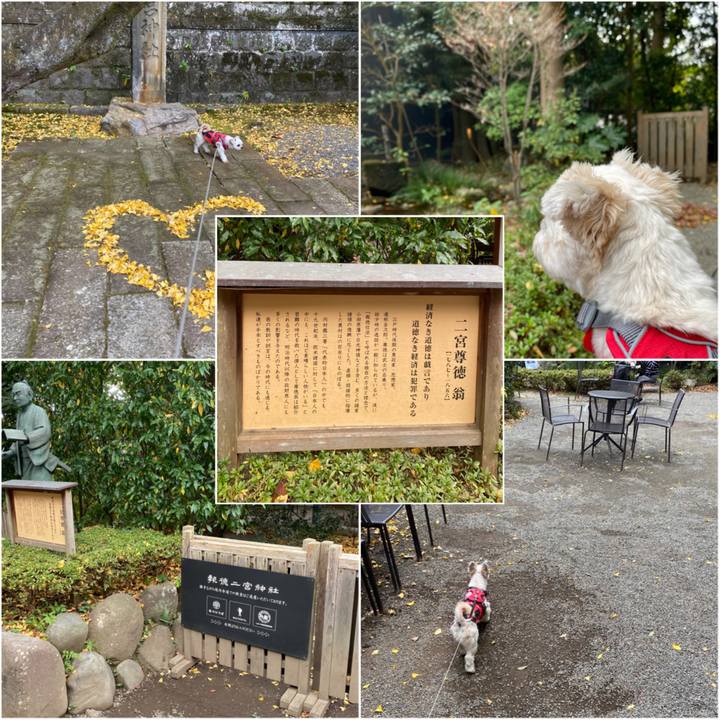 32f6dedf 0afa 46a4 b686 7443896fa85e 1606116390256