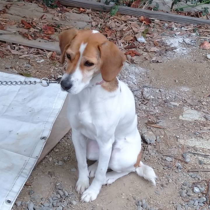 32f6fdaa 2c7c 4124 97c0 ed8985338de1 1581675137580