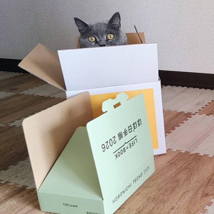 32f72ef6 d9a8 4086 86b4 47f2ada4e800 1764464697669