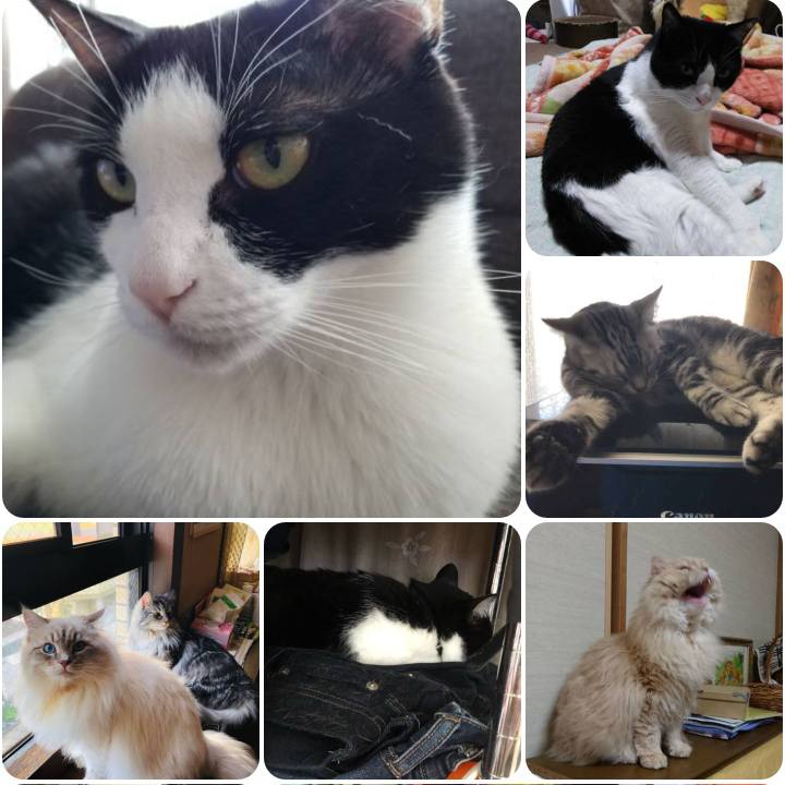 32f73628 d0e9 481e 8a86 af52beff19f5 1557104561732