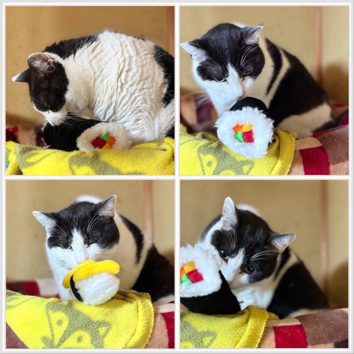 32f75738 0365 476b 8dcc 703381d862a0 1738461873057