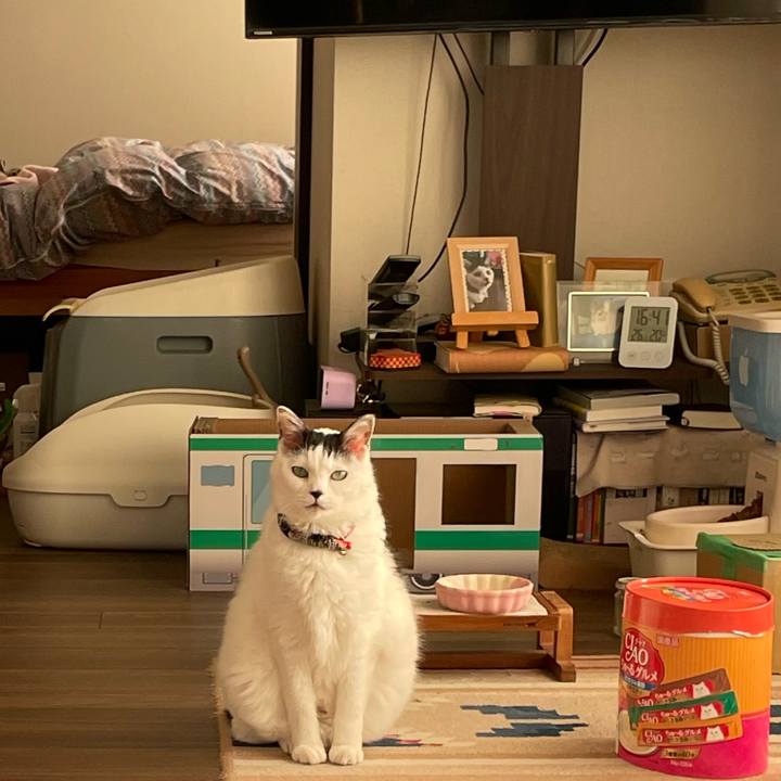 32f75bfb 7025 4b0d 81bf 329c46d87671 1740900537428