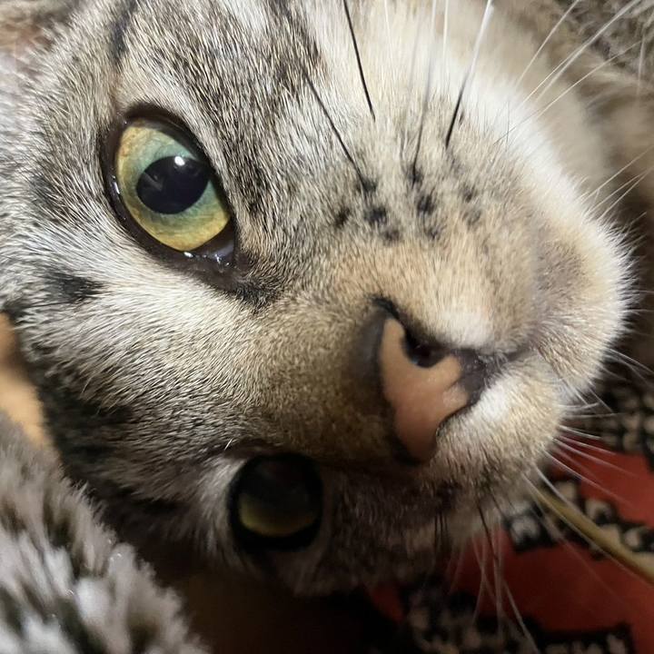 32f76119 7135 4c7b 975d d7f0601d8a51 1678712023553