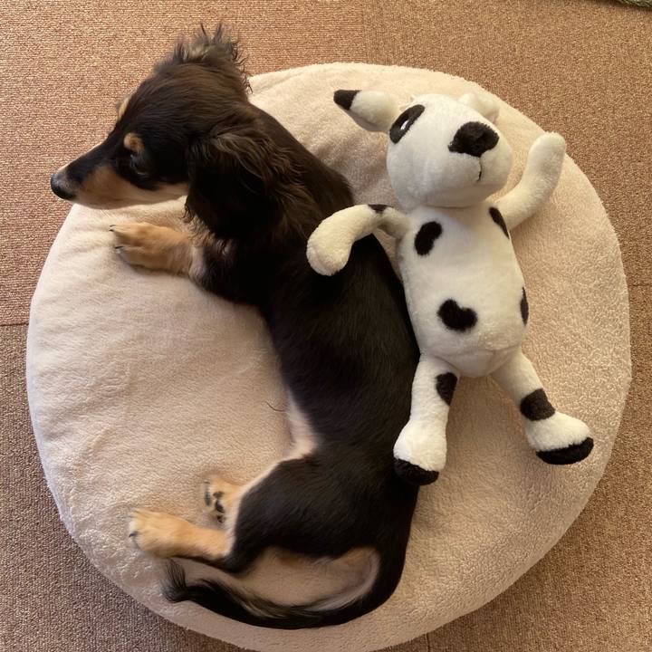 32f7788a c1b9 42e9 9b75 078b2f8c22bf 1670468595098