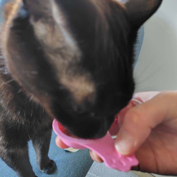 32f779cd 3c76 4d73 99c6 f99179589939 1739935056856