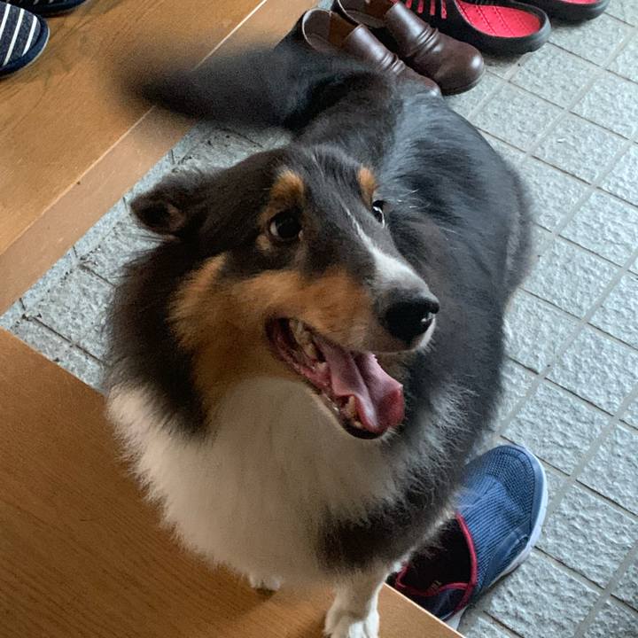 32f784b8 98f0 40d6 bc94 76abc38e188a 1601417098149