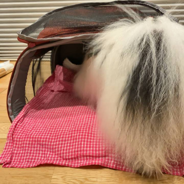 32f78abc 89c7 4682 8add 278f1652c1b8 1569323039202