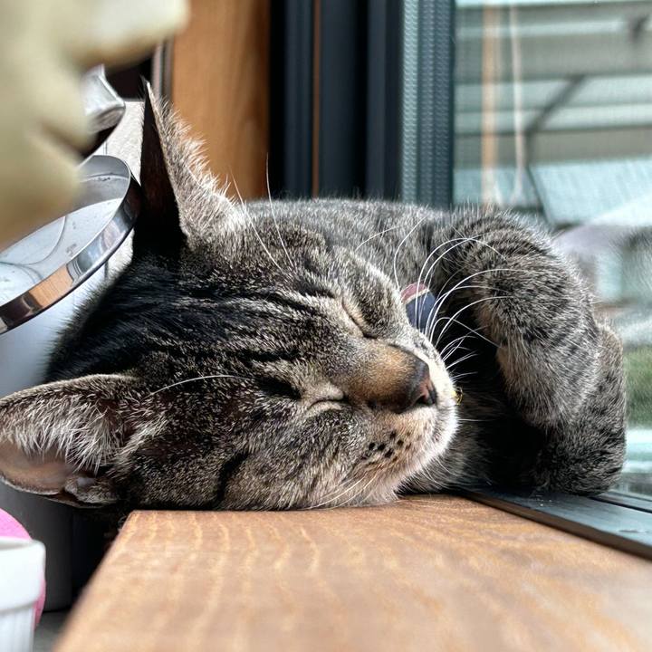 32f7b194 1329 4f6b 8424 863915efd89d 1712038182772