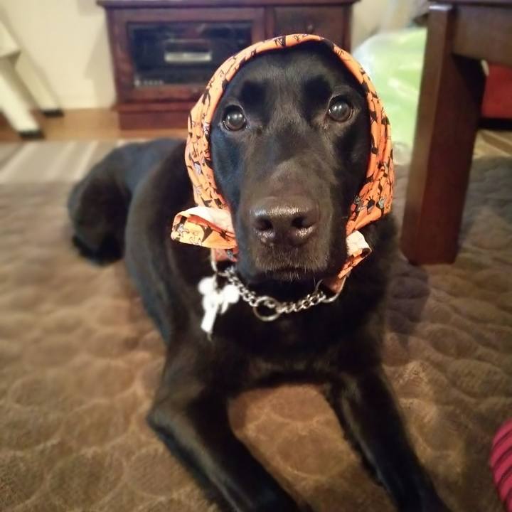 32f7de51 11a3 4a57 a5c2 9c624c3d12c6 1691808540488