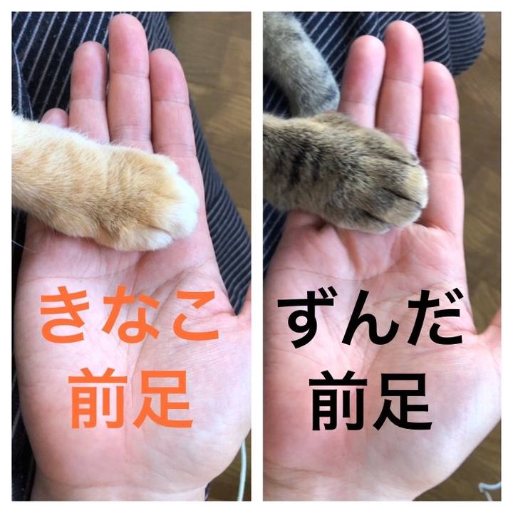 32f7f15a bcf6 484e 862e a6469b279327 1736484547878