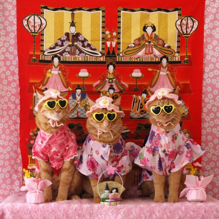 32f7f490 9eb6 4b61 a7a6 ca2ad3a1fdba 1772522439096