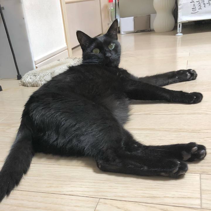 32f83e87 bd1d 427f a07c 978e890108d7 1639392943450