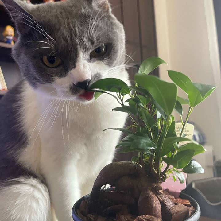 32f8b740 e330 445d bb96 14a0e65ef76b 1719747083835