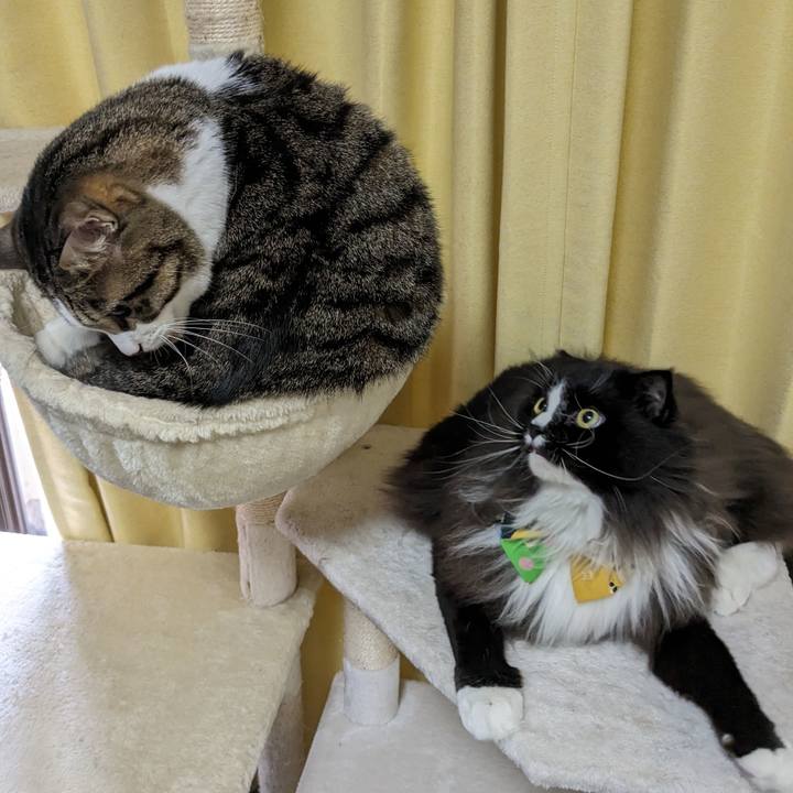 32f8ef44 16ff 4bc7 8e99 3df3dd10c6a6 1693699599611