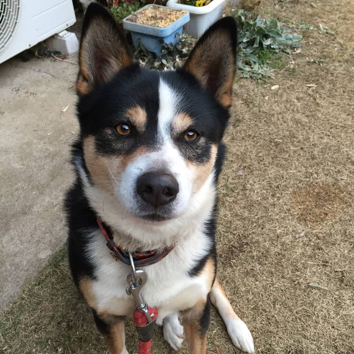 32f95a9f f1ff 47ce a3c5 9bcb76ac6b0c 1515846471912