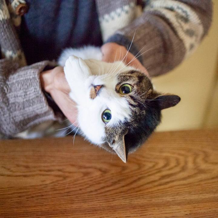 32f961a0 cb42 44b8 984a d8a57ef9f1de 1582851991002