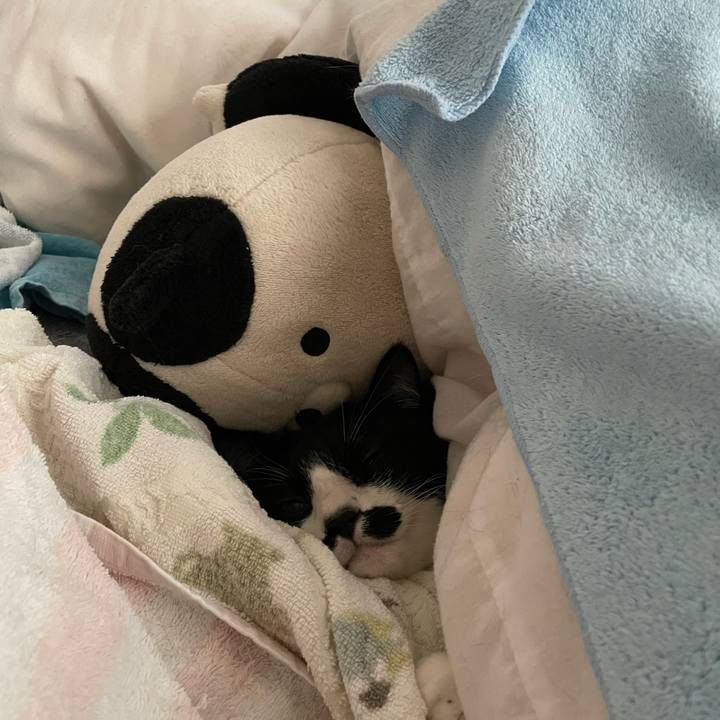 32f97f69 7e31 4db3 a034 174a64ed0e8b 1740487349175