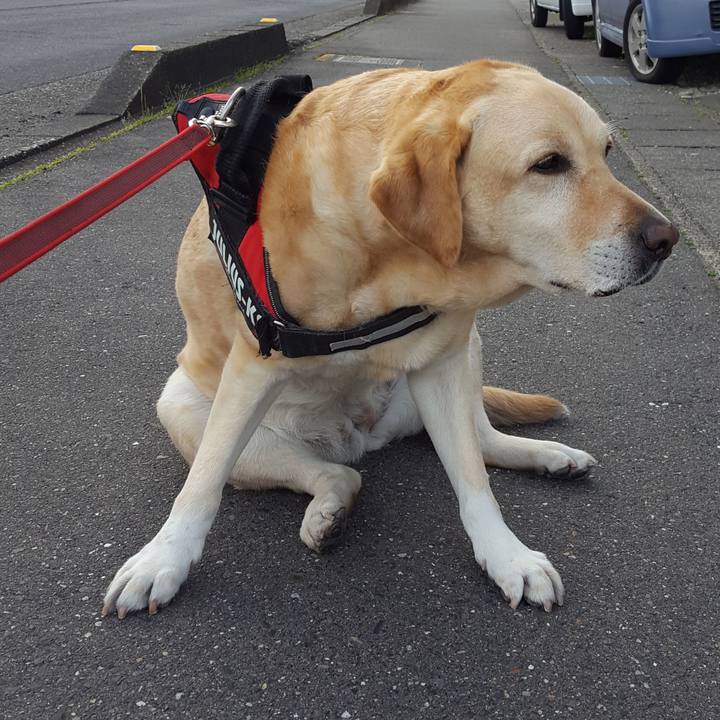 32f99060 9c0f 4b2b a873 e247a36b46db 1588981826209