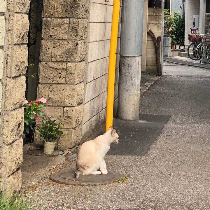 32f9ed7e da92 44c5 b1c2 d94a6a3f6c9c 1567174568099