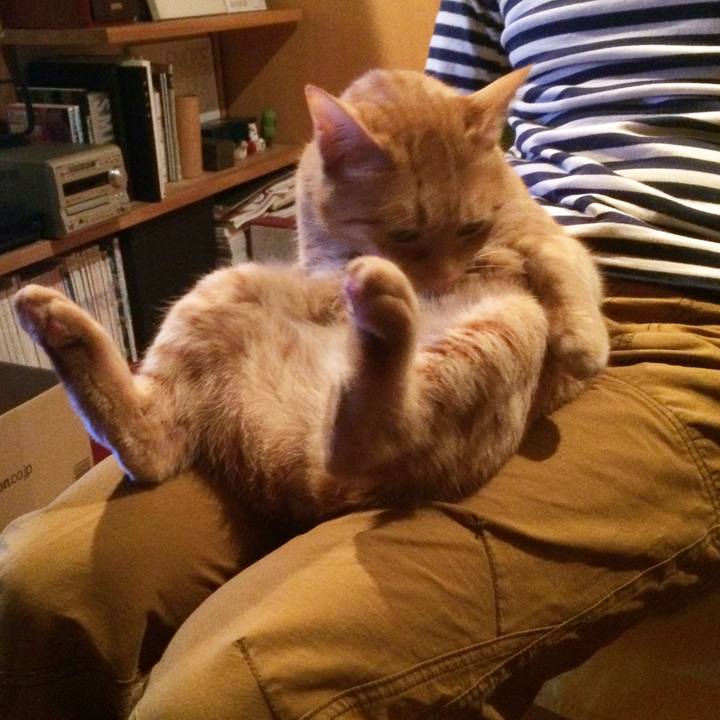 32fa02ad 5cdf 4892 8acd 5dbb3d4aa95c 1520814513915