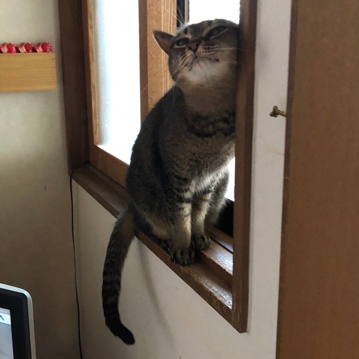 32fa3909 d473 4f3c 8c70 d240c4c8d1fb 1592962778918