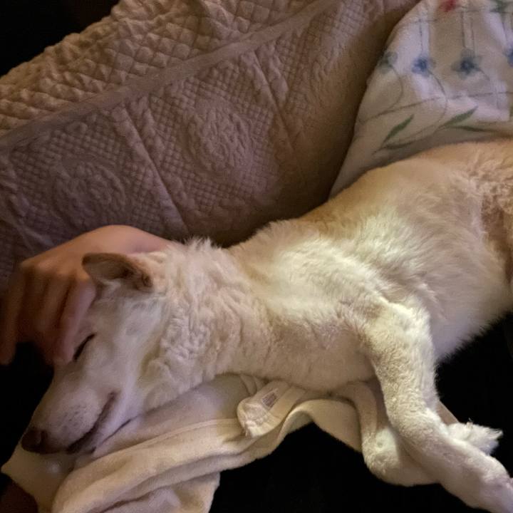 32fa4034 0158 4214 8908 231f85d58797 1656434882248