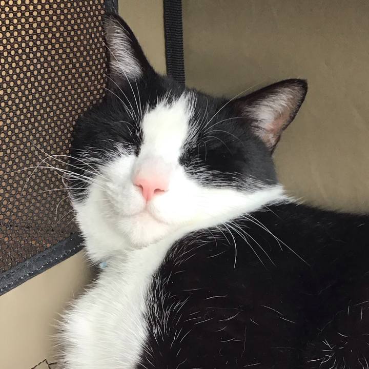 32fa5c6a f295 44aa 96d4 fabd5cabce01 1719305622651