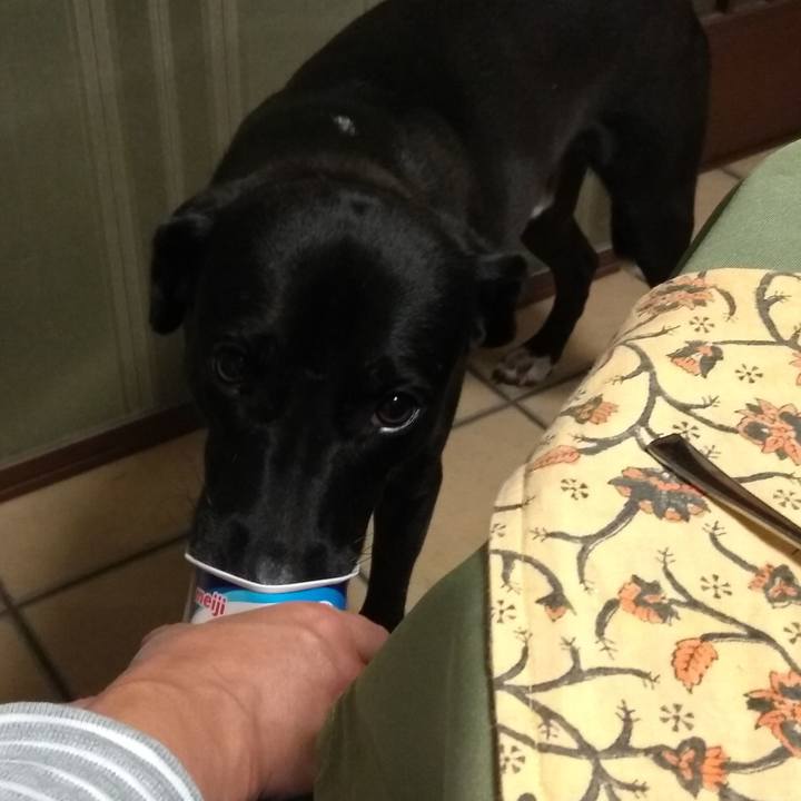 32fa7312 3f14 40c4 95ed c205a03c817f 1601251310251