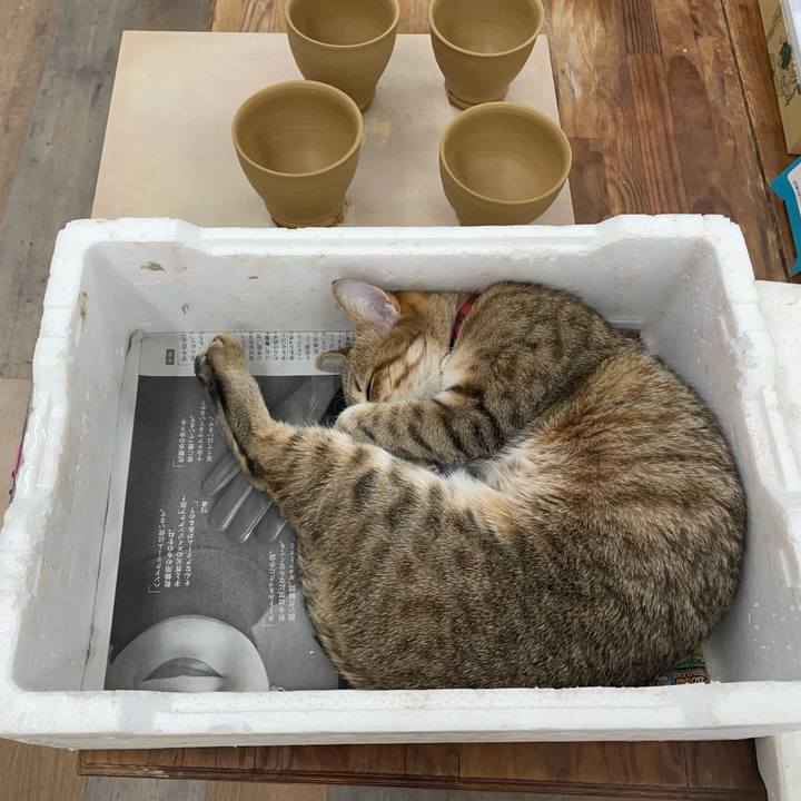 32fb0cd4 1ac2 4d07 afdd e684e6daeca5 1680954133745