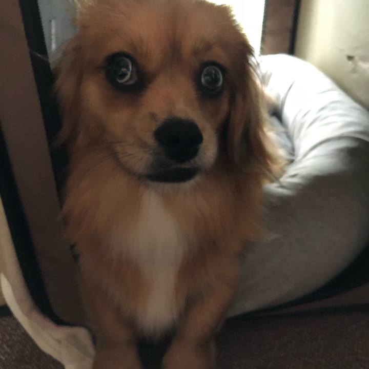 32fb6d06 e045 4425 86eb 88b26361f2b9 1530566561680