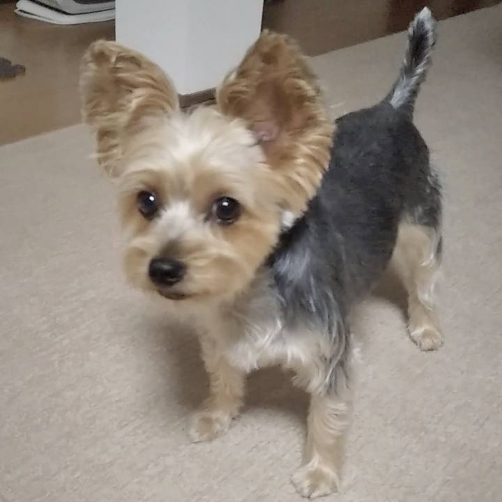 32fb6fea d355 4c7c b67a a66d060e95f0 1692189647028