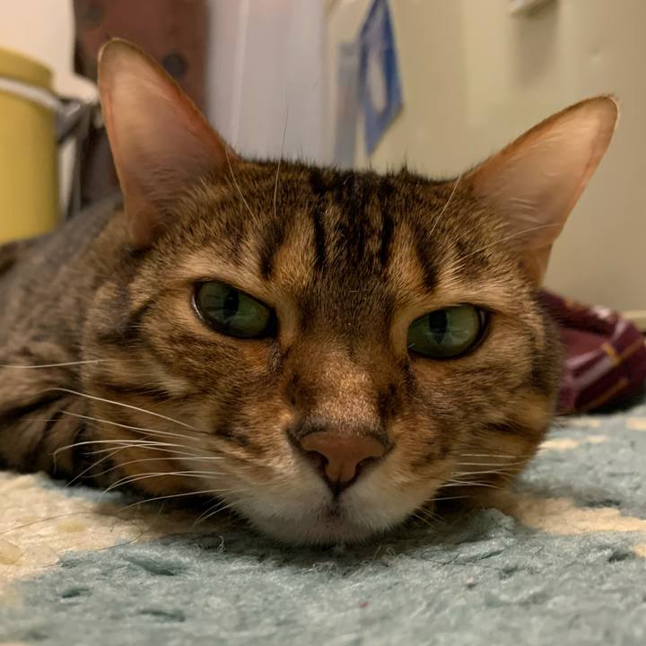 32fb72c7 2937 422a bfb4 206ce5367da1 1582672277181