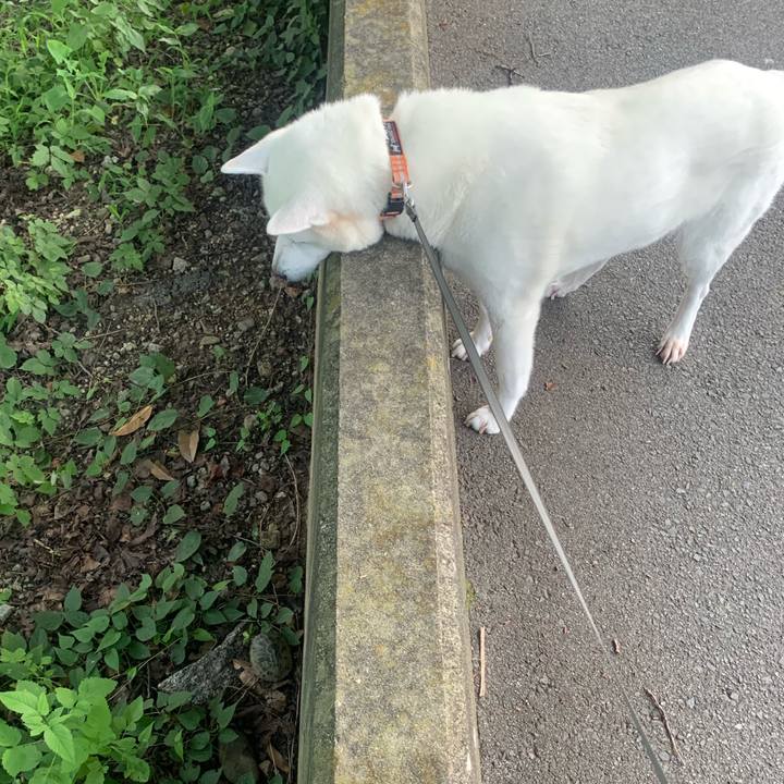 32fb78ab cfb5 4ade 8807 9f02362eeba9 1562511113168